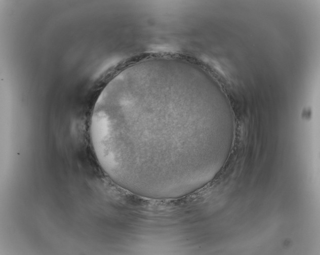 X0000091011254200708161951