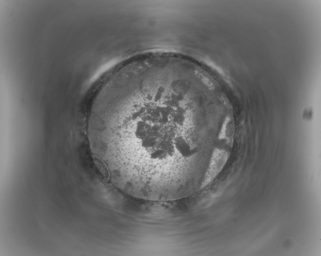 X0000091011255200708161951