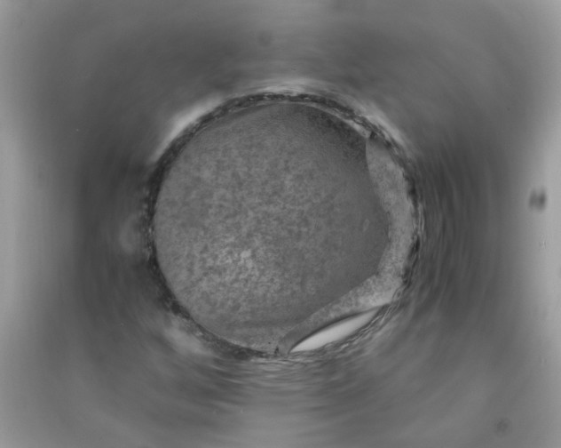X0000091011256200708161951