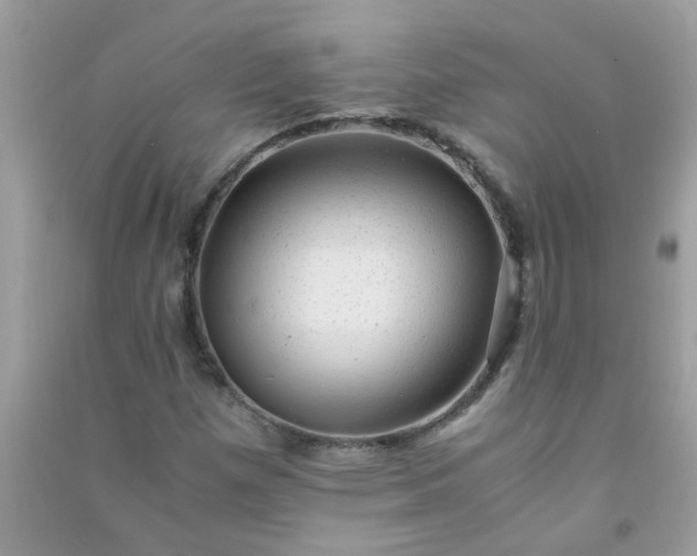 X0000091011257200708161951