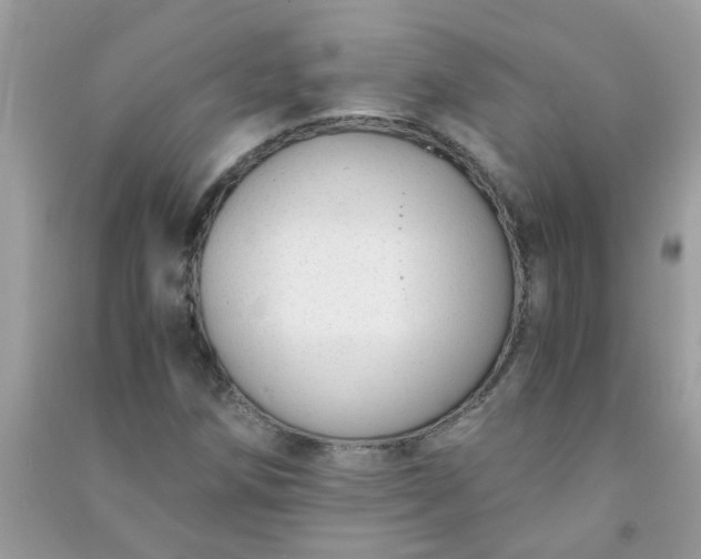 X0000091011258200708161951