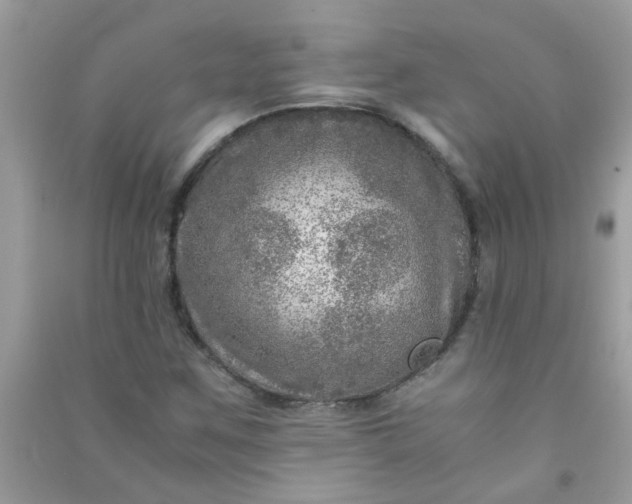 X0000091011259200708161951