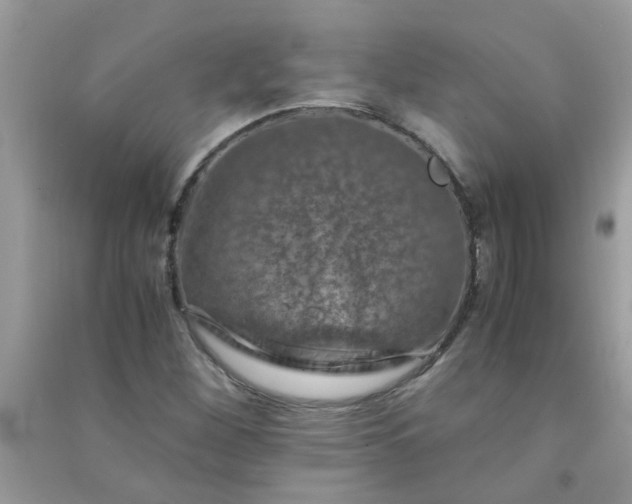 X0000091011260200708161951