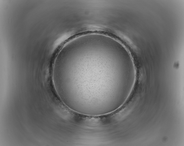 X0000091011261200708161951