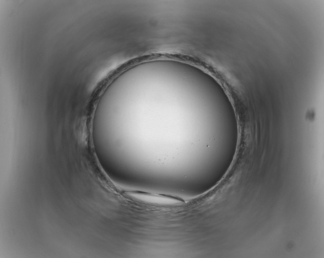 X0000091011262200708161951