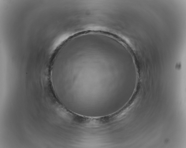 X0000091011263200708161951