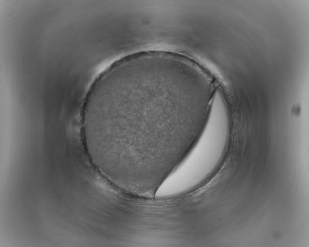 X0000091011264200708161951