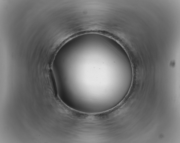 X0000091011265200708161951