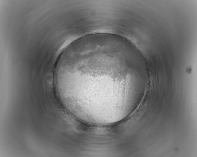 X0000091011266200708161951