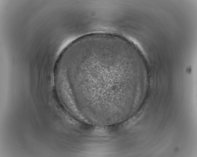 X0000091011267200708161951