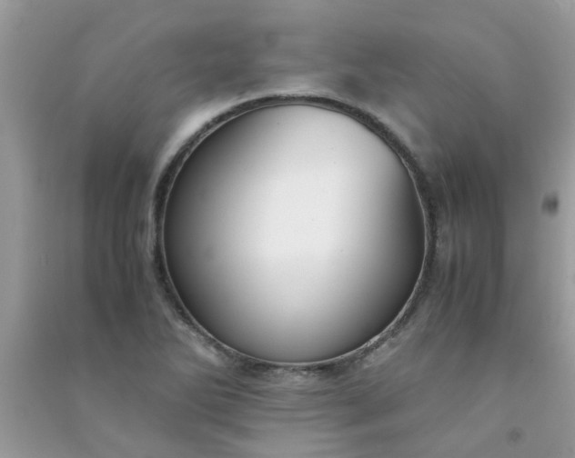 X0000091011270200708161951