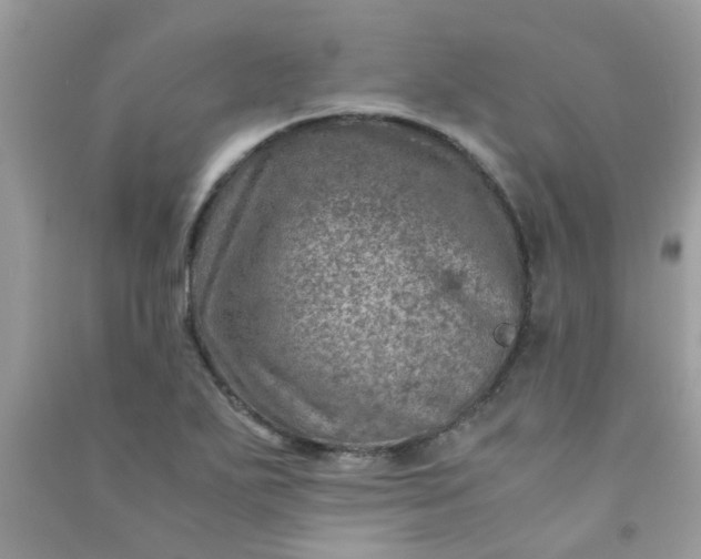 X0000091011271200708161951