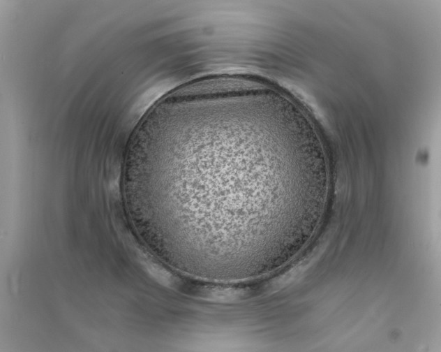 X0000091011273200708161951