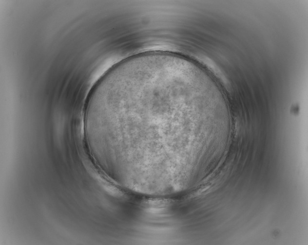 X0000091011274200708161951