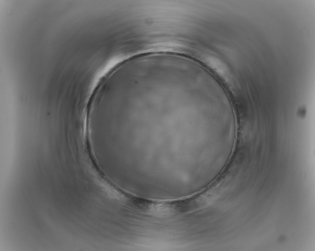 X0000091011275200708161951