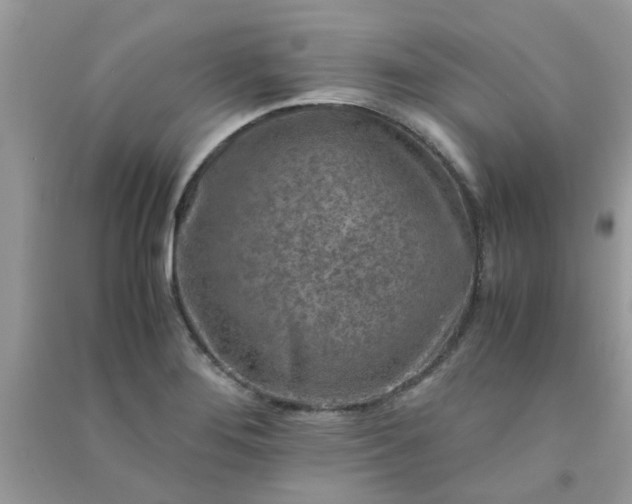 X0000091011276200708161951