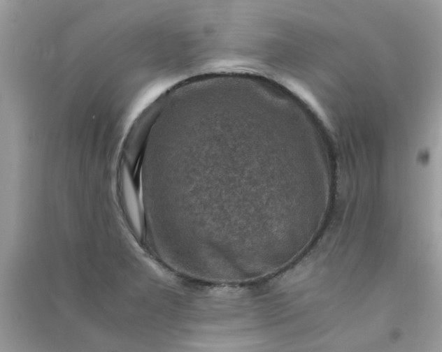 X0000091011277200708161951