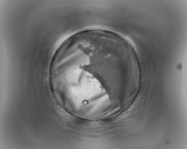 X0000091011279200708161951