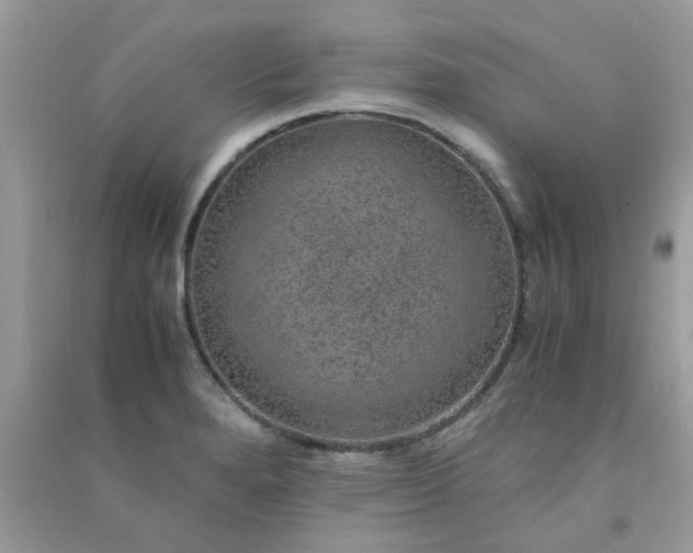 X0000091011280200708161951