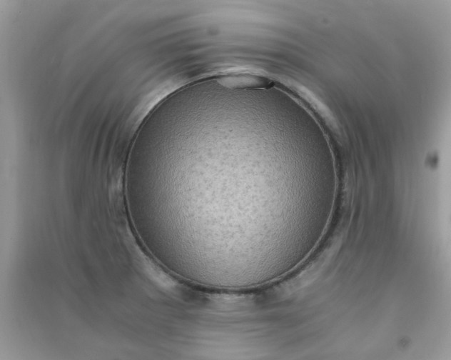 X0000091011281200708161951