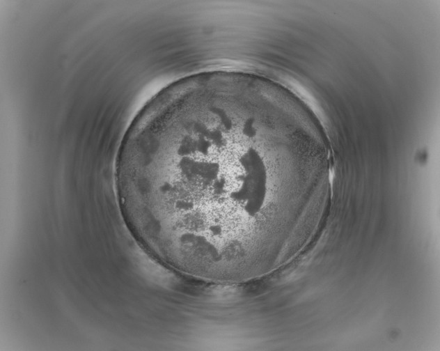 X0000091011283200708161951