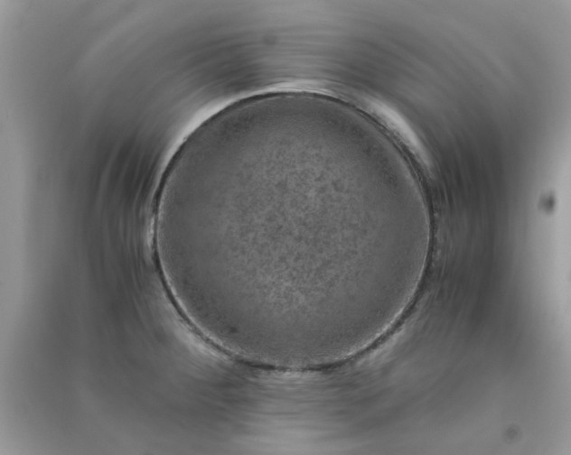 X0000091011284200708161951