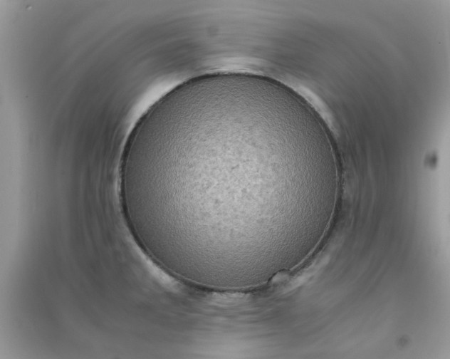 X0000091011285200708161951