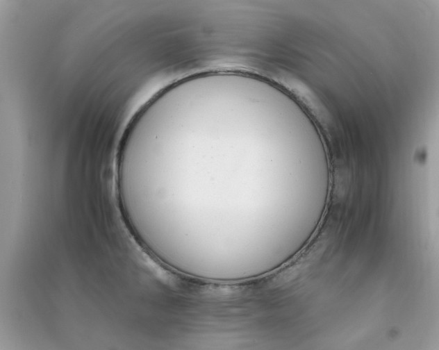X0000091011286200708161951