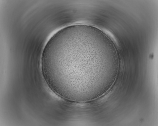 X0000091011288200708161951