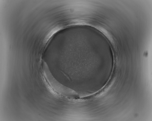 X0000091011289200708161951