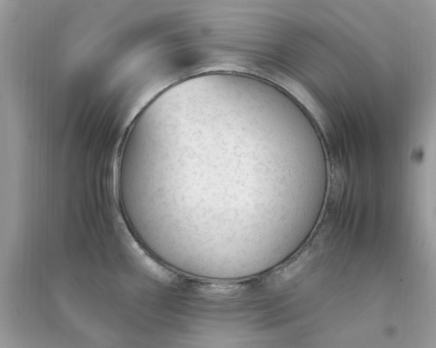 X0000091011290200708161951