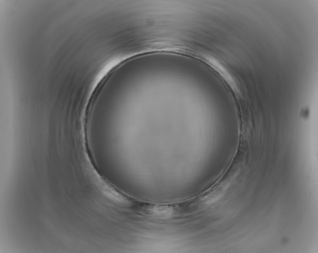 X0000091011291200708161951