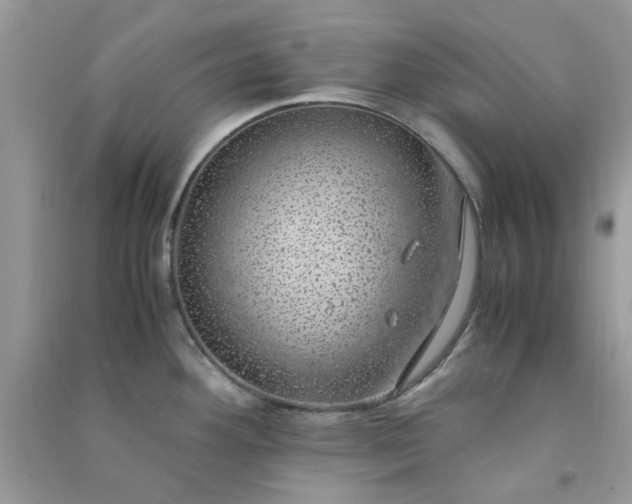 X0000091011292200708161951