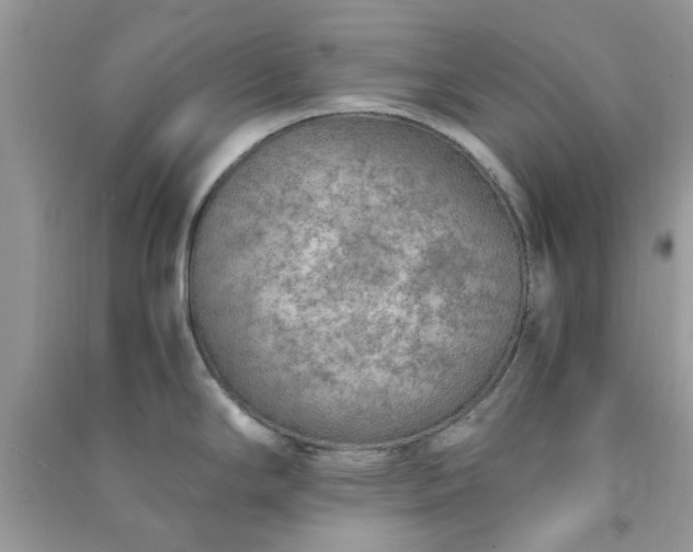 X0000091011294200708161951