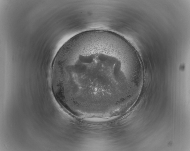 X0000091011295200708161951