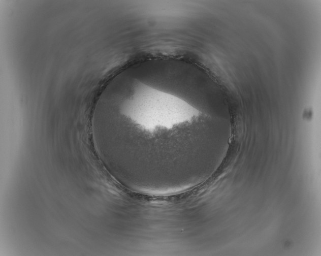 X0000091011297200708161950