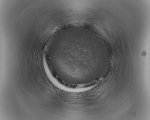 X0000091011298200708161950