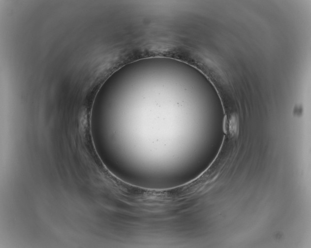 X0000091011299200708161950