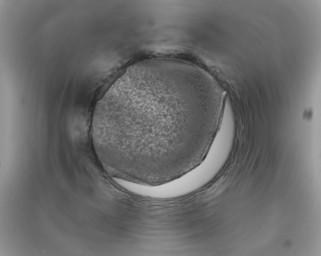 X0000091011300200708161950