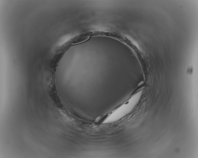 X0000091011303200708161950