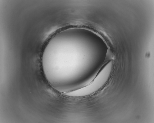 X0000091011304200708161950