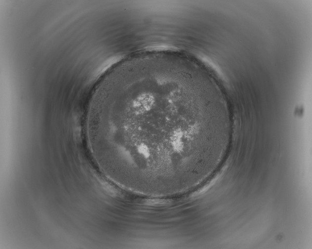 X0000091011305200708161950