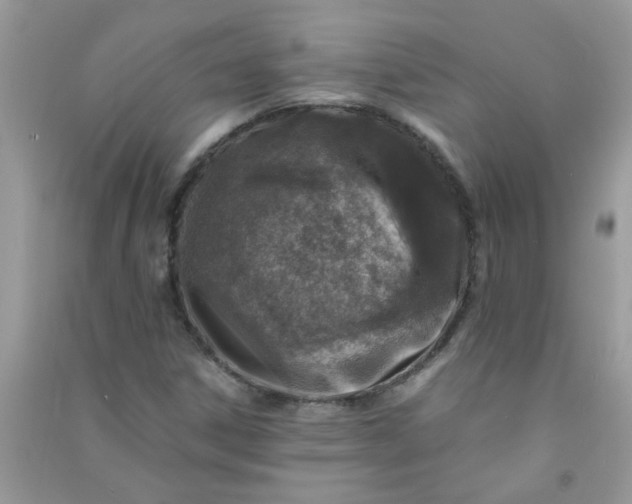 X0000091011306200708161950