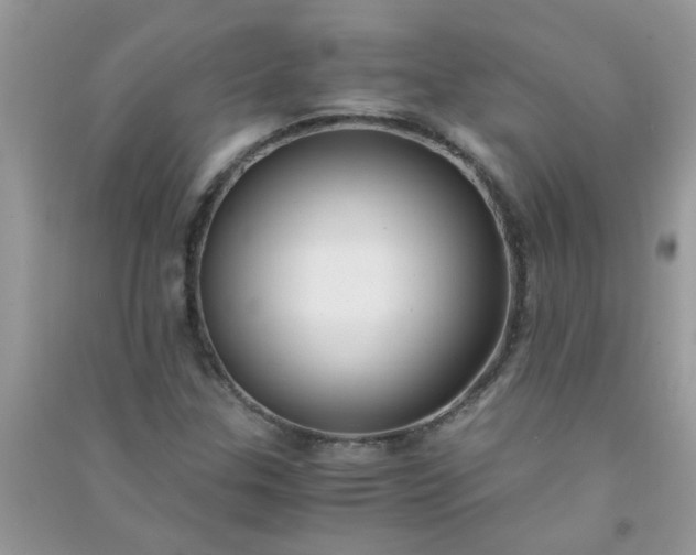 X0000091011307200708161950