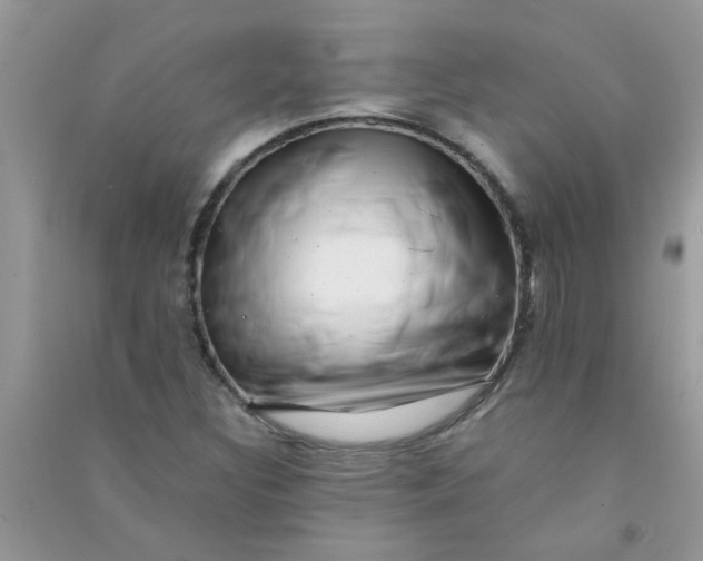 X0000091011308200708161950