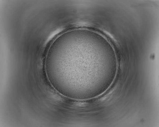 X0000091011309200708161950