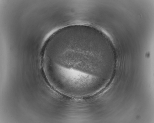 X0000091011310200708161950
