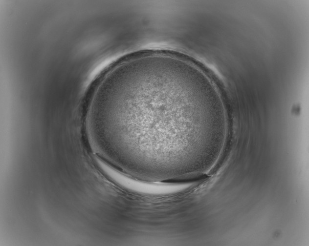X0000091011311200708161950