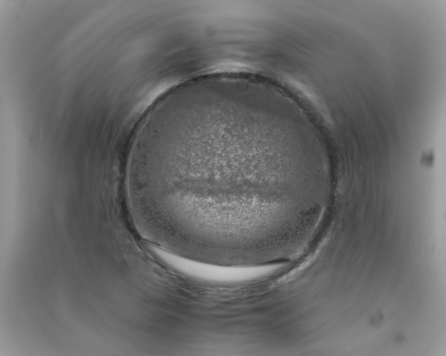 X0000091011313200708161950