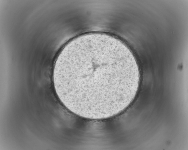 X0000091011314200708161950